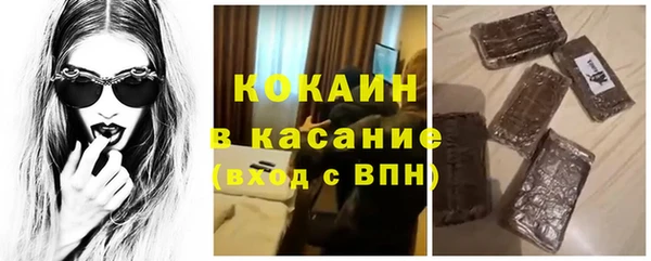 прущие грибы Лагань