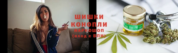 прущие грибы Лагань