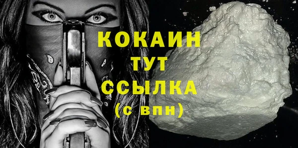 дмт Ладушкин